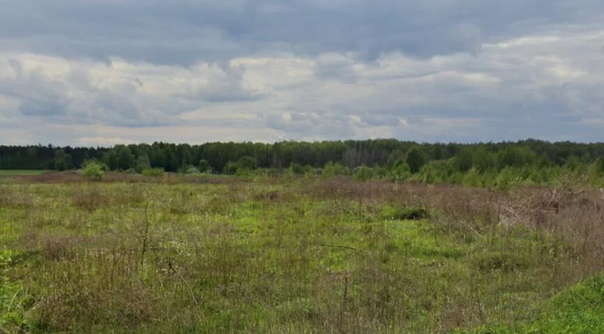 Działka 69 000,00 m², Raszyn, Sprzedaż