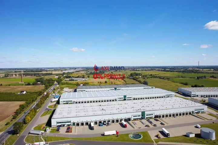 Magazyn 6 300,00 m², Błonie, Wynajem