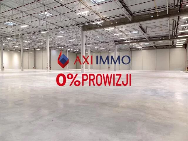 10221 - zdjęcie nr 0