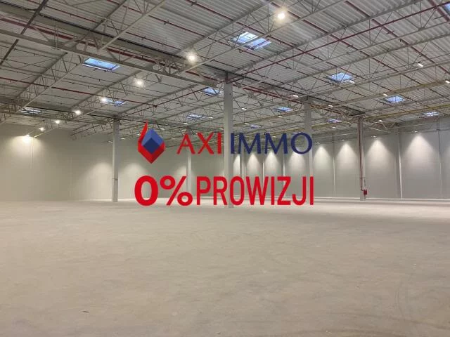 10331 - zdjęcie nr 0