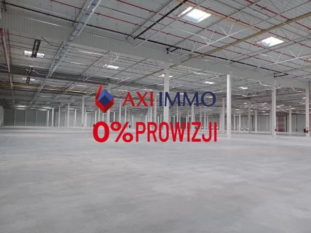 Magazyn 48 500,00 m², Goleniów, Wynajem