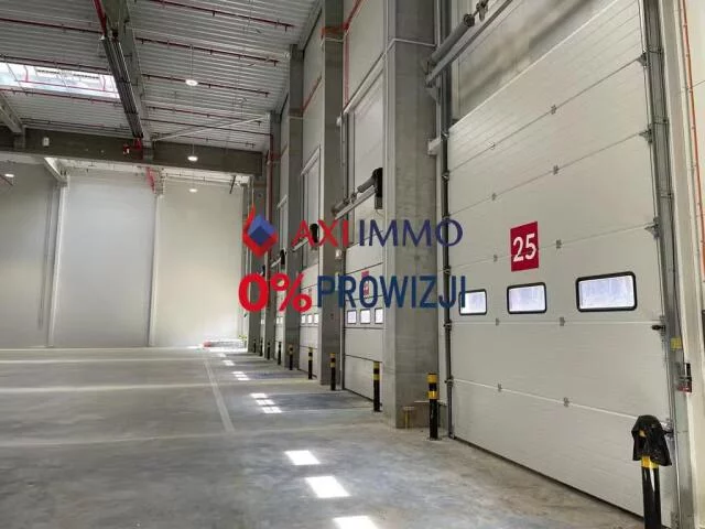 9753 - zdjęcie nr 0