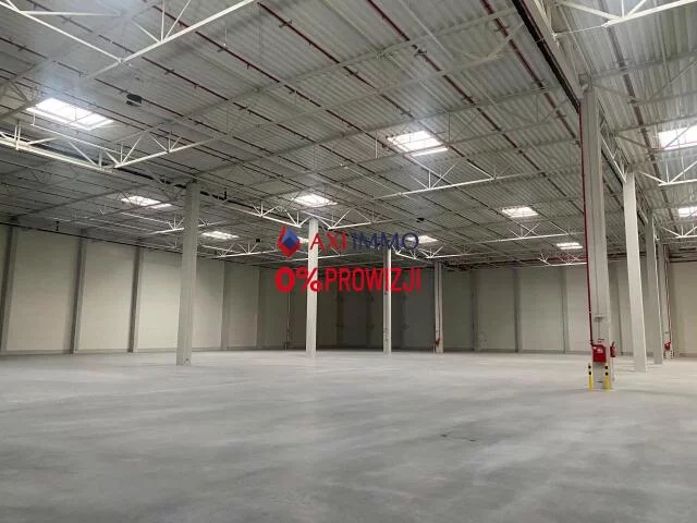 Magazyn 2 500,00 m², oferta nr , 10538, Koninko