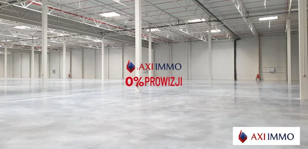 Magazyn 10 000,00 m², Kutno, Wynajem