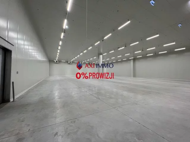 10020 - zdjęcie nr 2