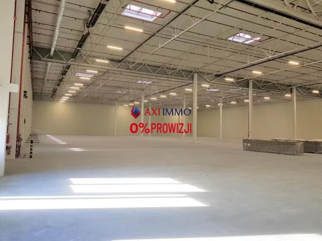 Magazyn 8 000,00 m², oferta nr , 10674, Łódź, Widzew, Widzew