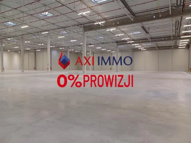 9779 - zdjęcie nr 0