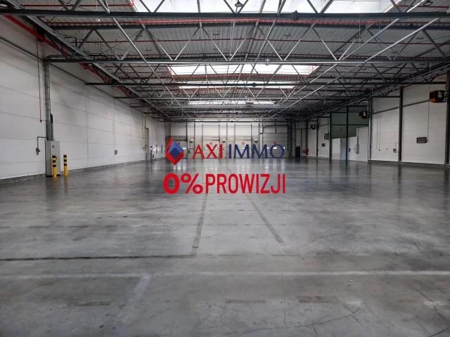 9958 - zdjęcie nr 0