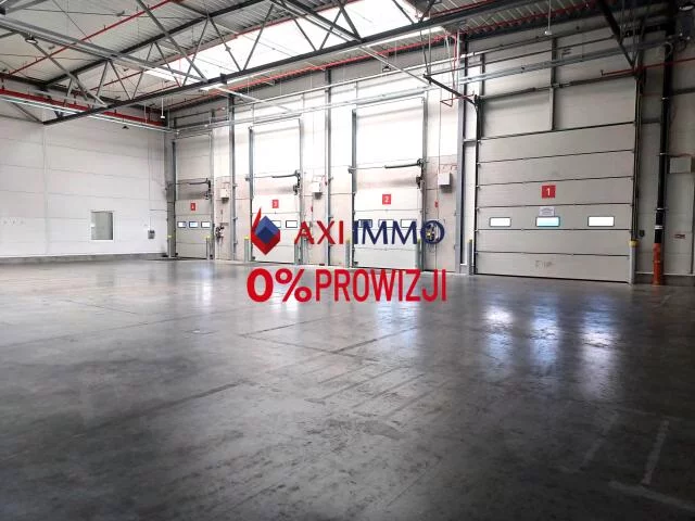 9958 - zdjęcie nr 1