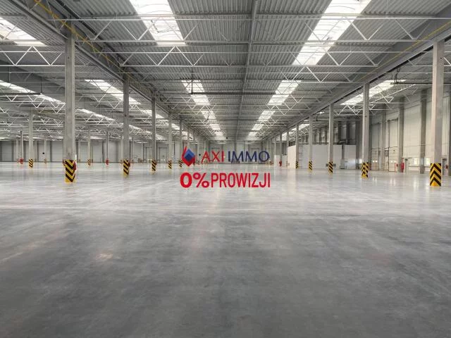 9666 - zdjęcie nr 2