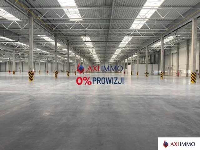 9846 - zdjęcie nr 2