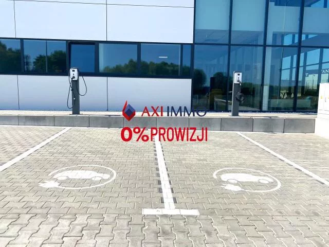 10124 - zdjęcie nr 2