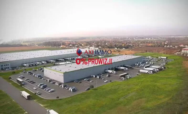 10172 - zdjęcie nr 0