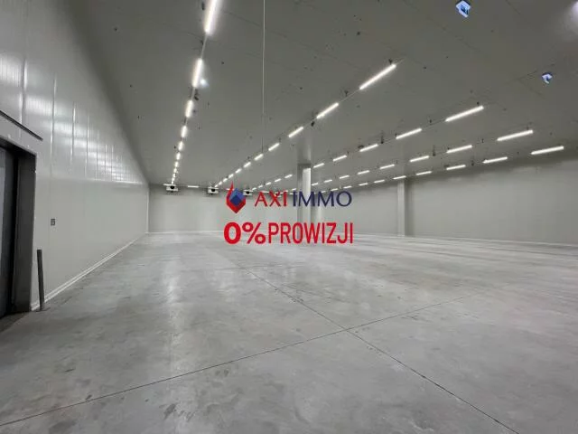 10007 - zdjęcie nr 0