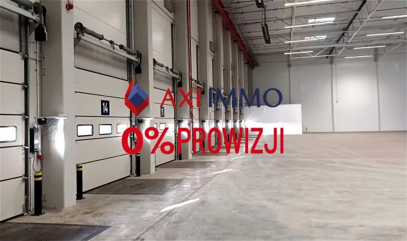 9905 - zdjęcie nr 0