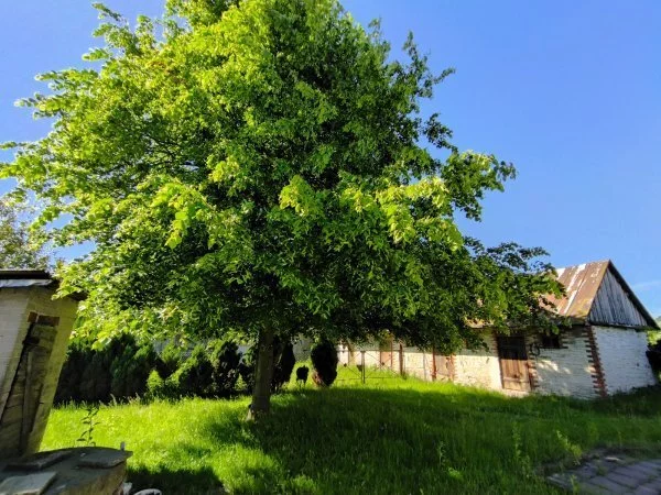 Dom 130,00 m², oferta nr , 22215/3470/ODS, Kowala Druga