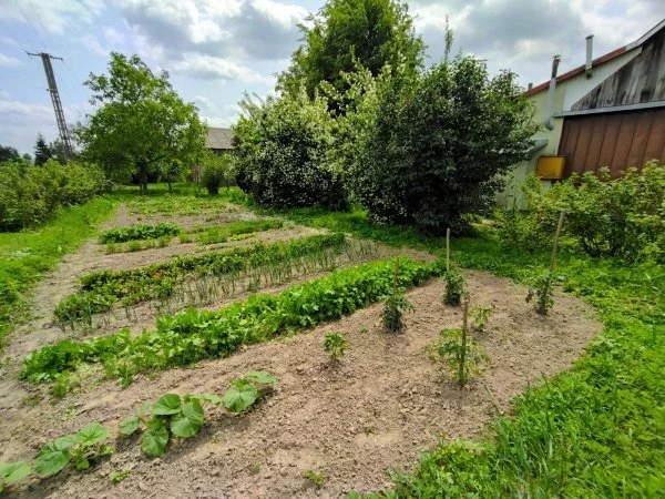 Dom 130,00 m², oferta nr , 22215/3470/ODS, Kowala Druga