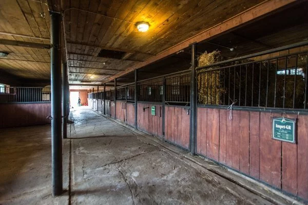 Dom i rezydencja 300,00 m², oferta nr , 22223/3470/ODS, Smolnik