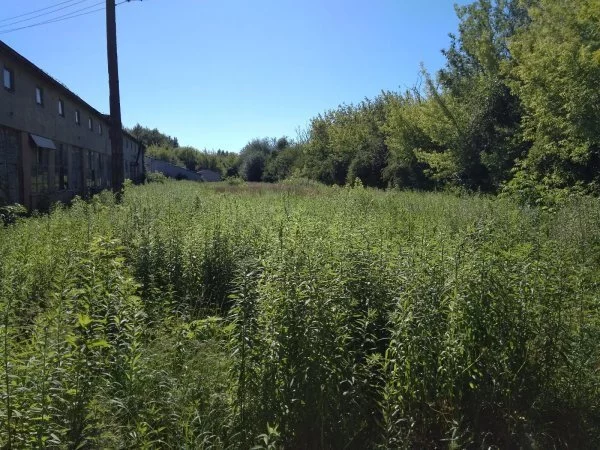 Apartamenty 557/3470/OGW Błonie