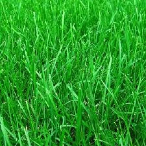 Apartamenty 555/3470/OGW Dębica