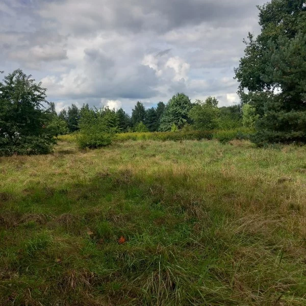 Działka 1 173,00 m², oferta nr , 18087/3470/OGS, Dobrzykowice
