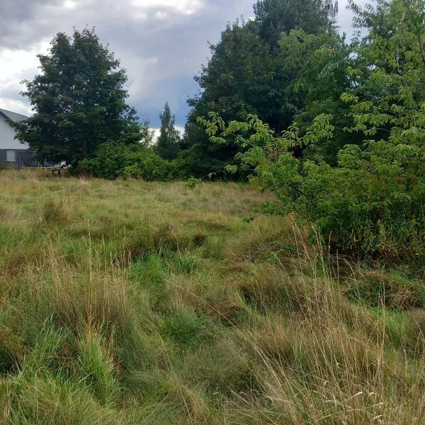 Działka 1 173,00 m², oferta nr , 18087/3470/OGS, Dobrzykowice