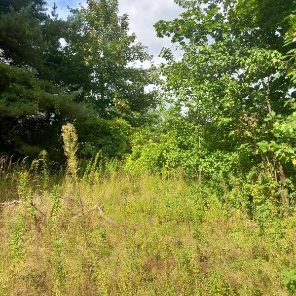 Działka 1 173,00 m², oferta nr , 18087/3470/OGS, Dobrzykowice