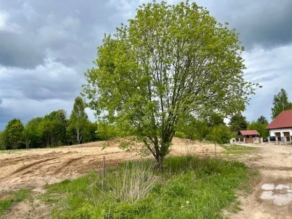 Apartamenty 18056/3470/OGS Klebark Mały