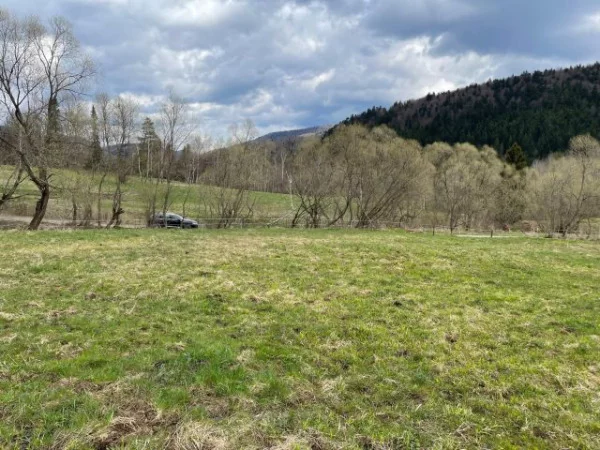Działka 30 000,00 m², oferta nr , 18101/3470/OGS, Krzywe