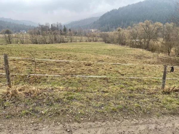 Działka 30 000,00 m², oferta nr , 18102/3470/OGS, Krzywe