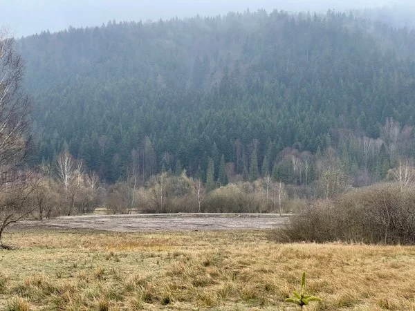 Działka 30 000,00 m², oferta nr , 18102/3470/OGS, Krzywe