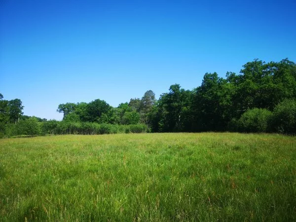 Działka 4 000,00 m², oferta nr , 18068/3470/OGS, Liskowo