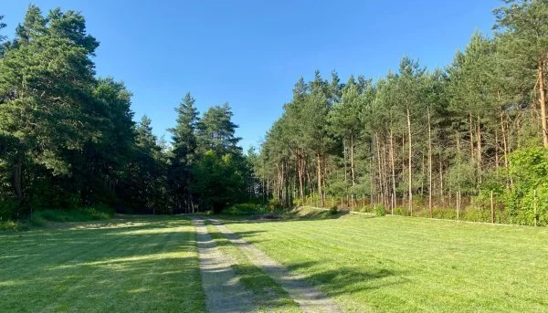 Apartamenty 18098/3470/OGS Skrzeszew