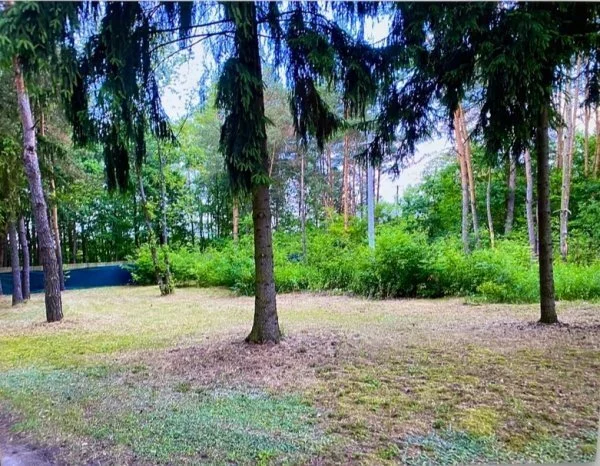 Działka 2 120,00 m², oferta nr , 18098/3470/OGS, Skrzeszew