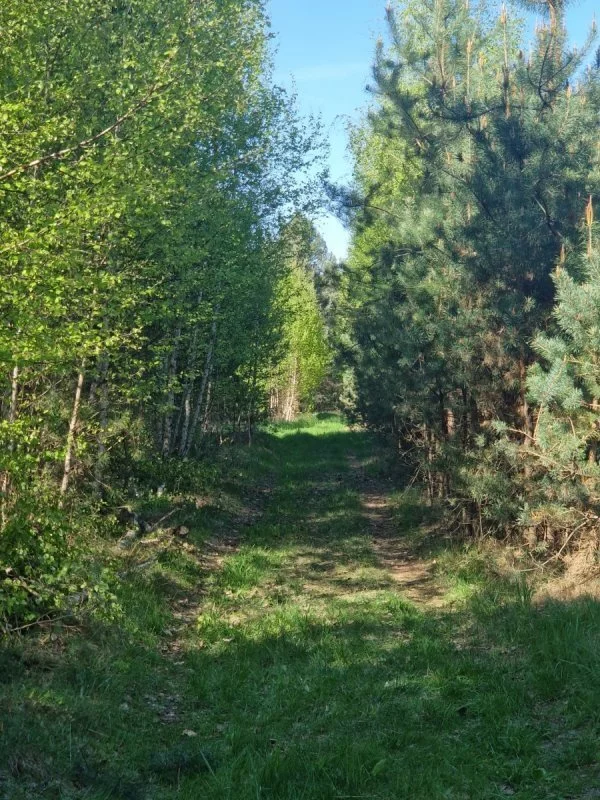18074/3470/OGS - zdjęcie nr 0