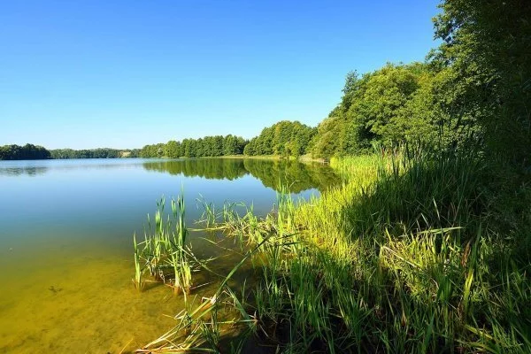 18074/3470/OGS - zdjęcie nr 3
