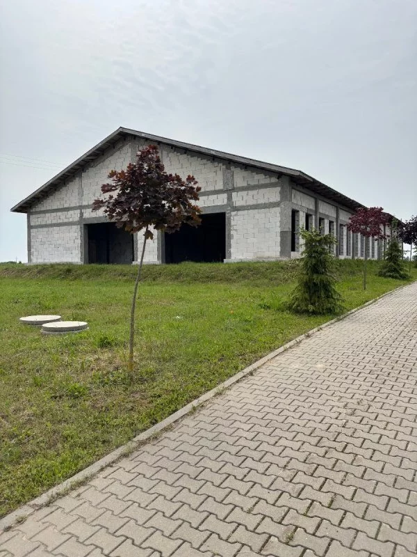 Lokal użytkowy 800,00 m², oferta nr , 8347/3470/OLS, Rgielsko