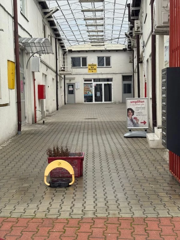 Lokal użytkowy 180,00 m², oferta nr , 8737/3470/OLW, Skierniewice