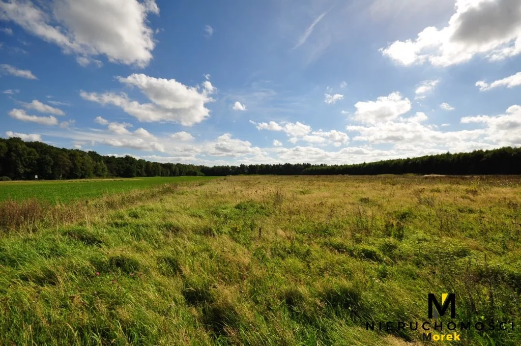 Działka 3 097,00 m², Będzino, Sprzedaż