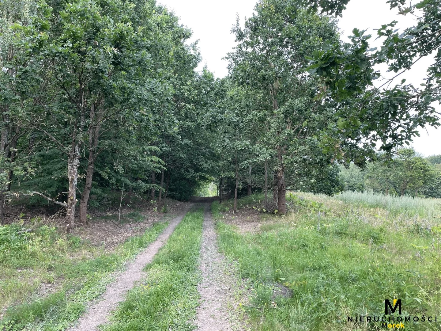 Działka 3 100,00 m², oferta nr , KMO-GS-1759, Czaplinek