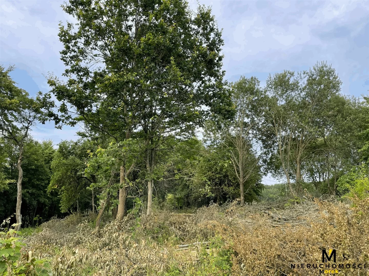 Działka 3 100,00 m², oferta nr , KMO-GS-1759, Czaplinek