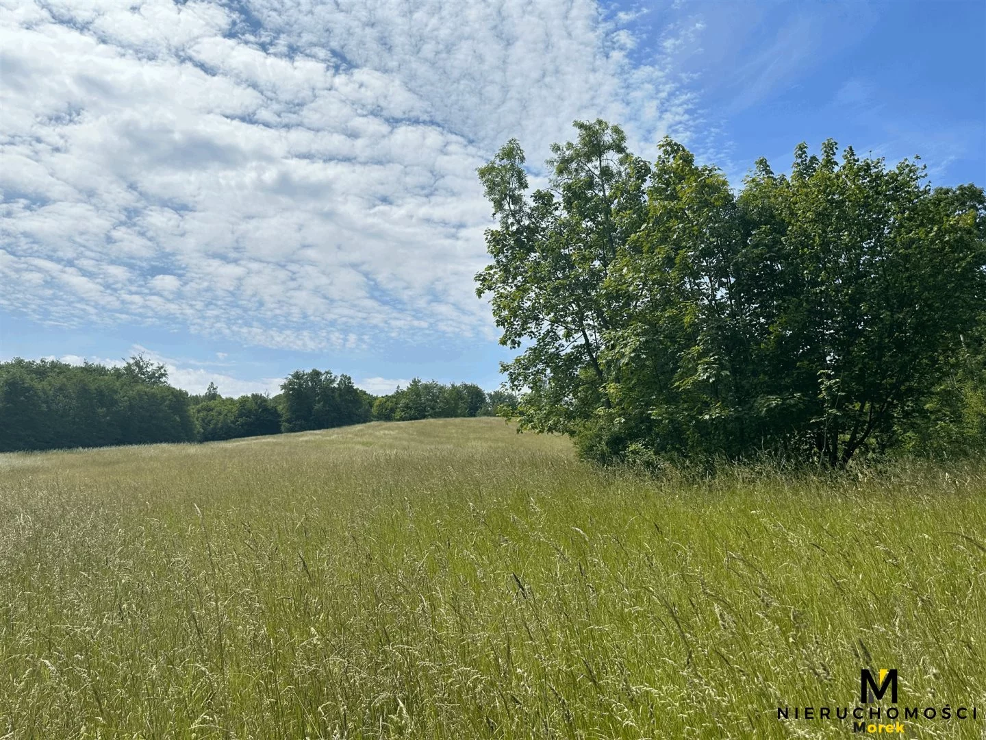 Działka 119 847,00 m², Sianożęty, Sprzedaż