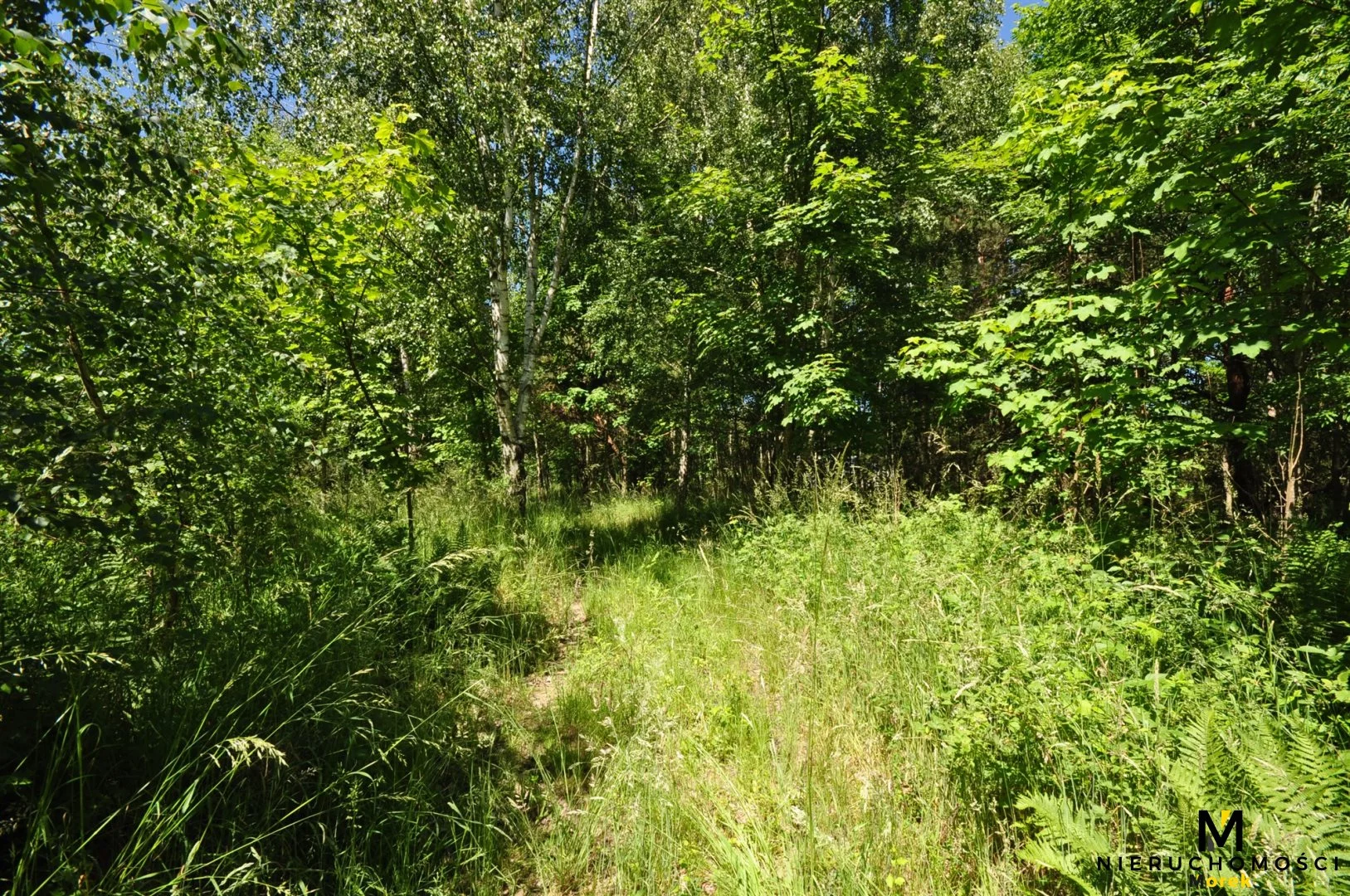 Działka 271 950,00 m², oferta nr , KMO-GS-1504, Siemyśl