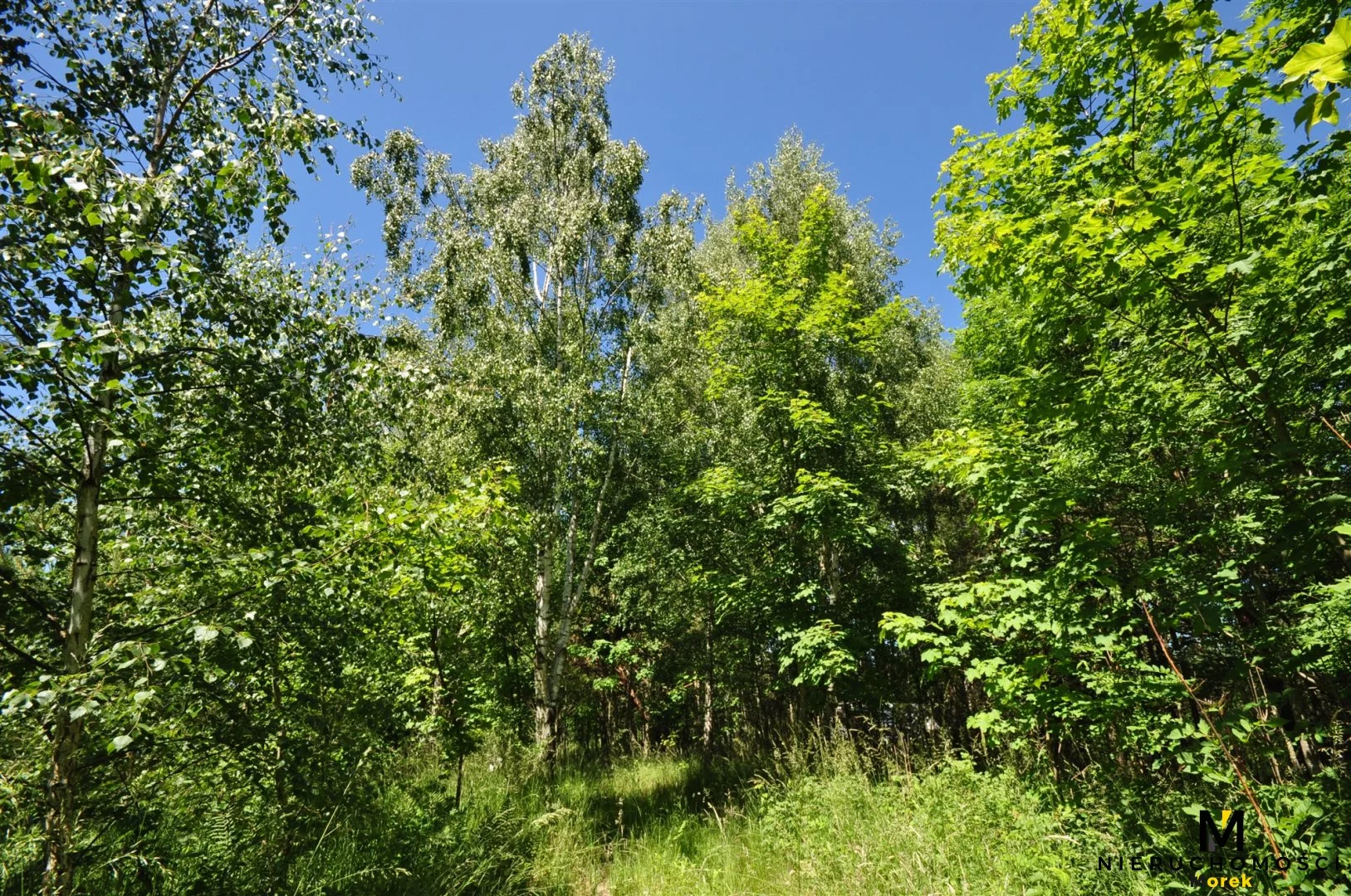 Działka 271 950,00 m², oferta nr , KMO-GS-1504, Siemyśl