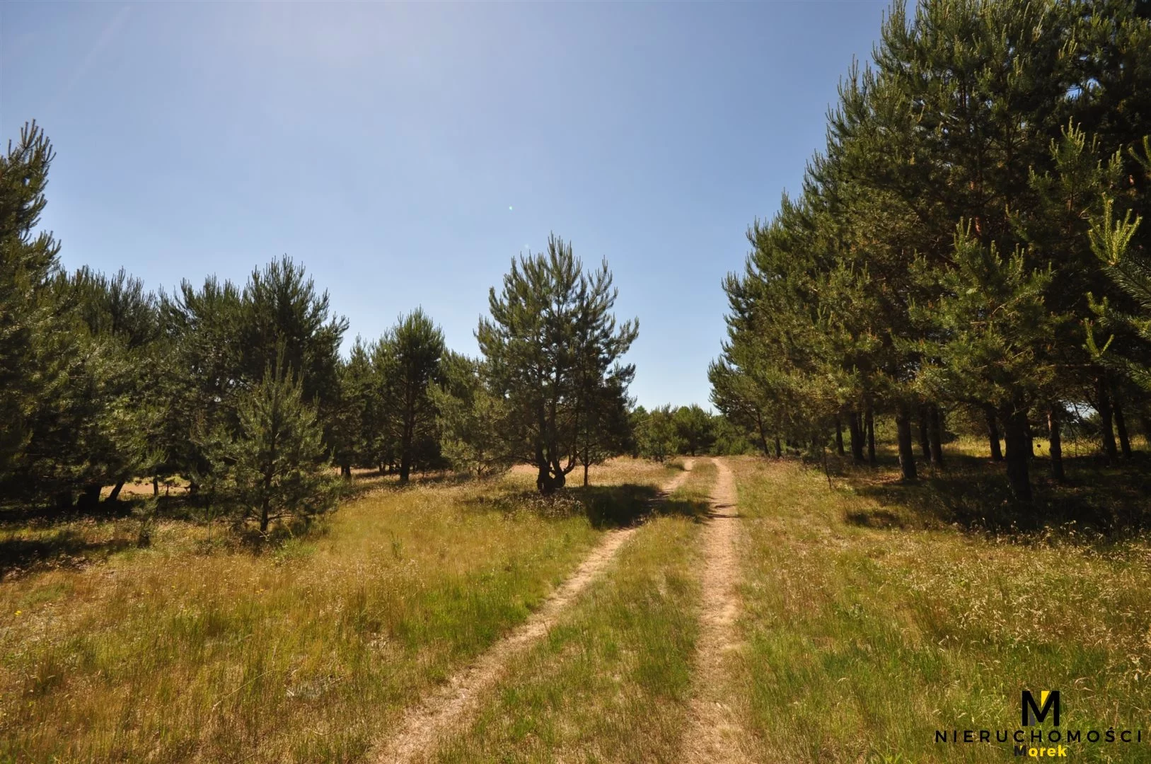 Działka 271 950,00 m², oferta nr , KMO-GS-1504, Siemyśl