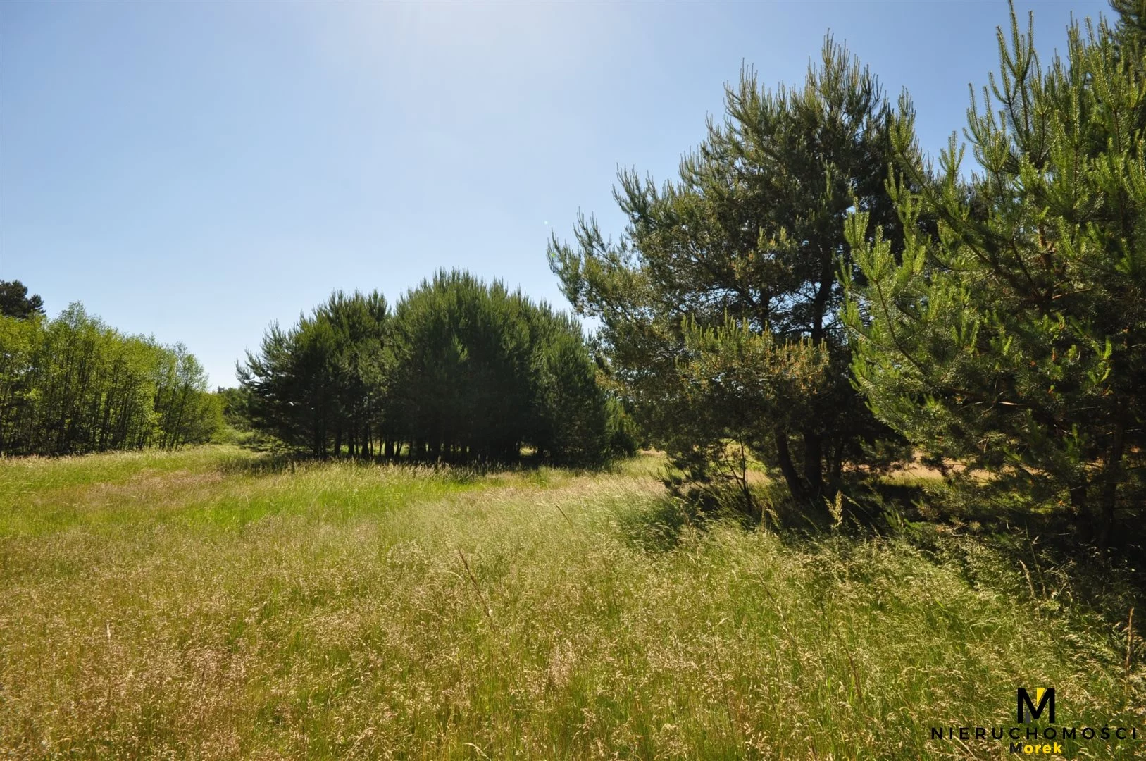 Działka 271 950,00 m², oferta nr , KMO-GS-1504, Siemyśl
