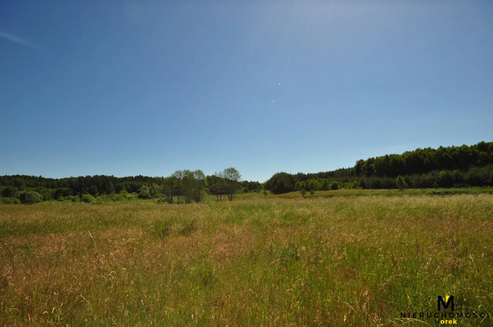Działka 271 950,00 m², oferta nr , KMO-GS-1504, Siemyśl