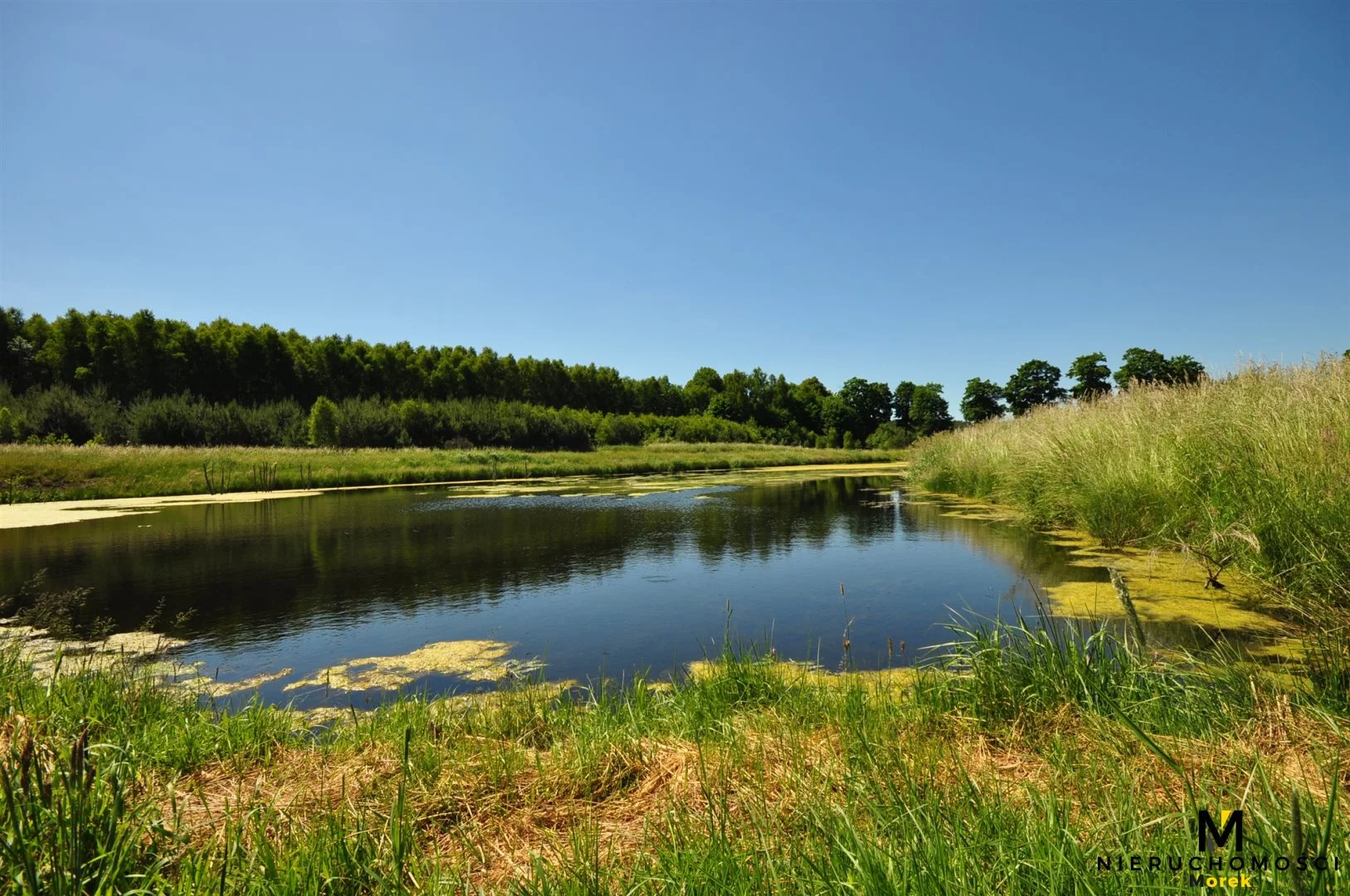 Działka 271 950,00 m², oferta nr , KMO-GS-1504, Siemyśl