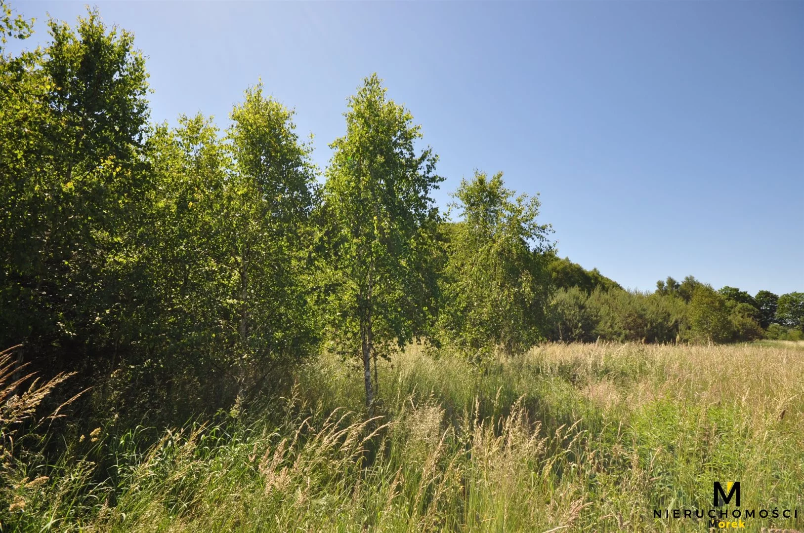 Działka 271 950,00 m², oferta nr , KMO-GS-1504, Siemyśl