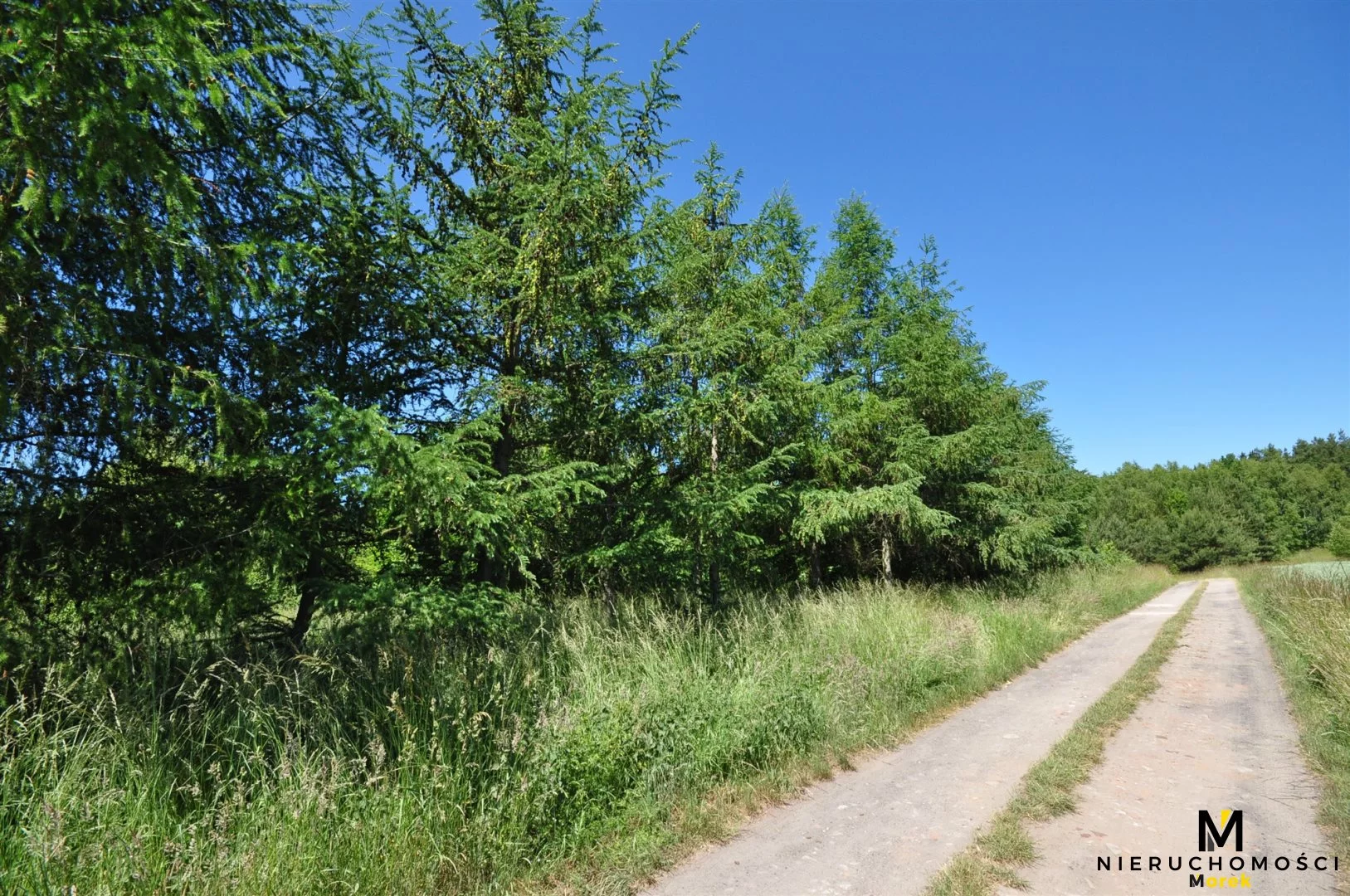 Działka 271 950,00 m², oferta nr , KMO-GS-1504, Siemyśl